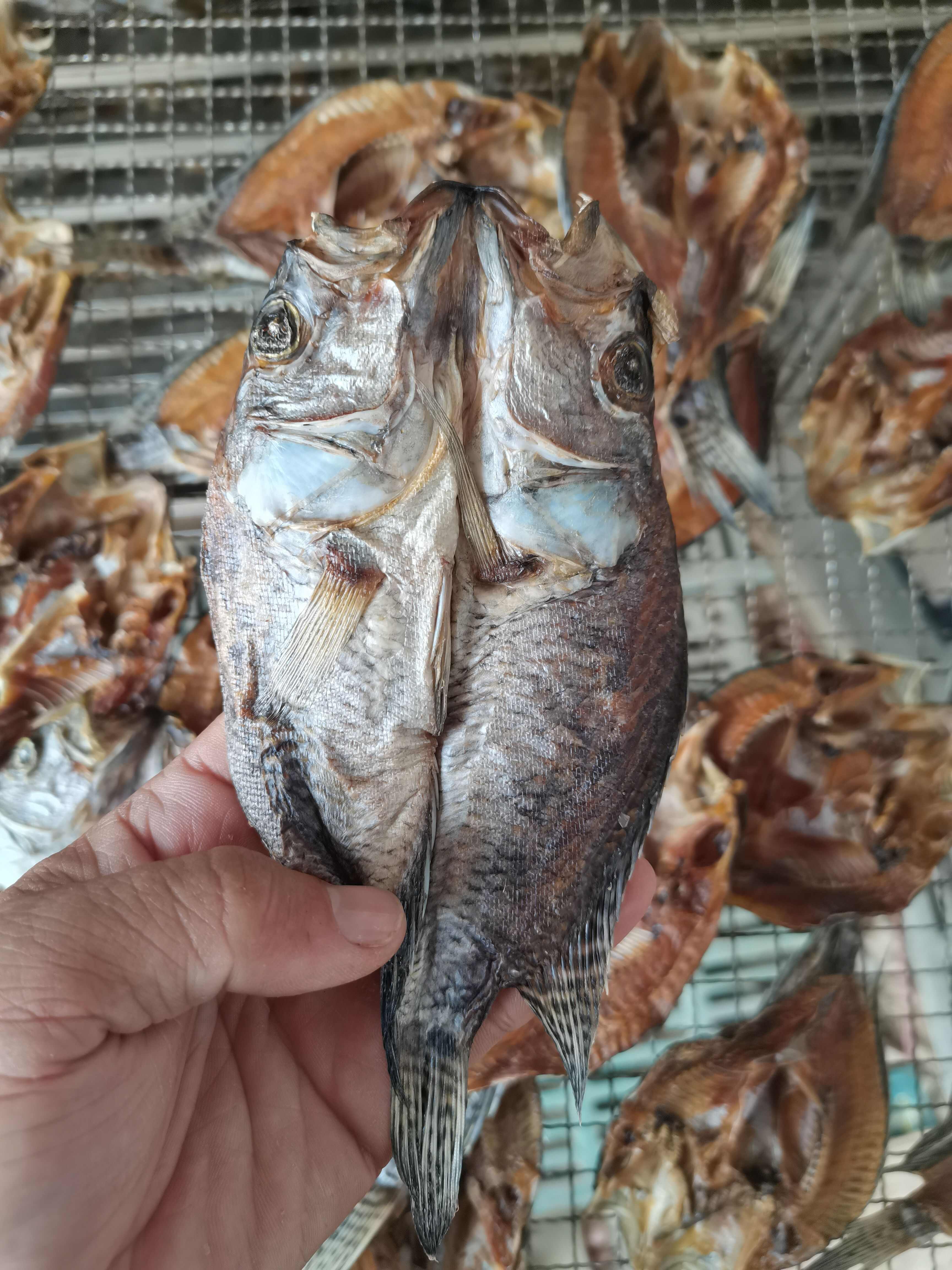 海南淡水石斑/鱼干/开背/水库鱼/纯/烘干/包邮