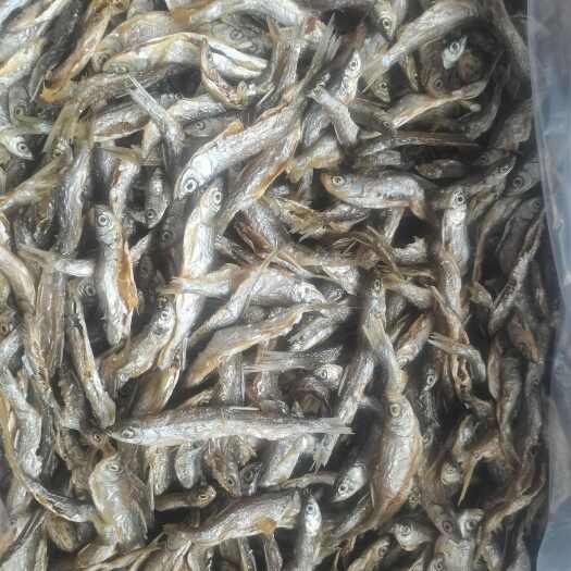 乐东县油炸蓝刀/开肚/餐条/白条/纯/水库鱼/包邮