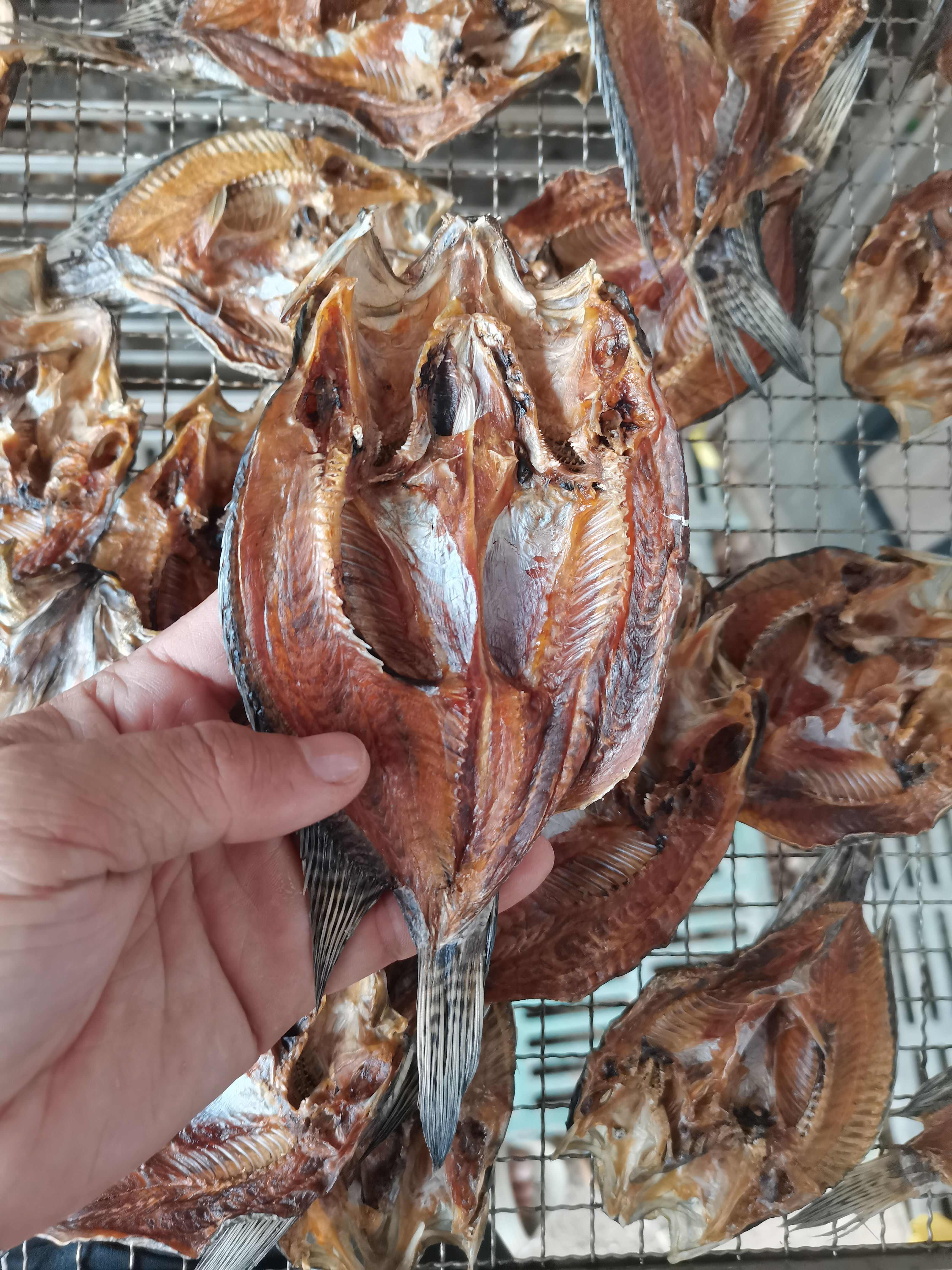 海南淡水石斑/鱼干/开背/水库鱼/纯/烘干/包邮