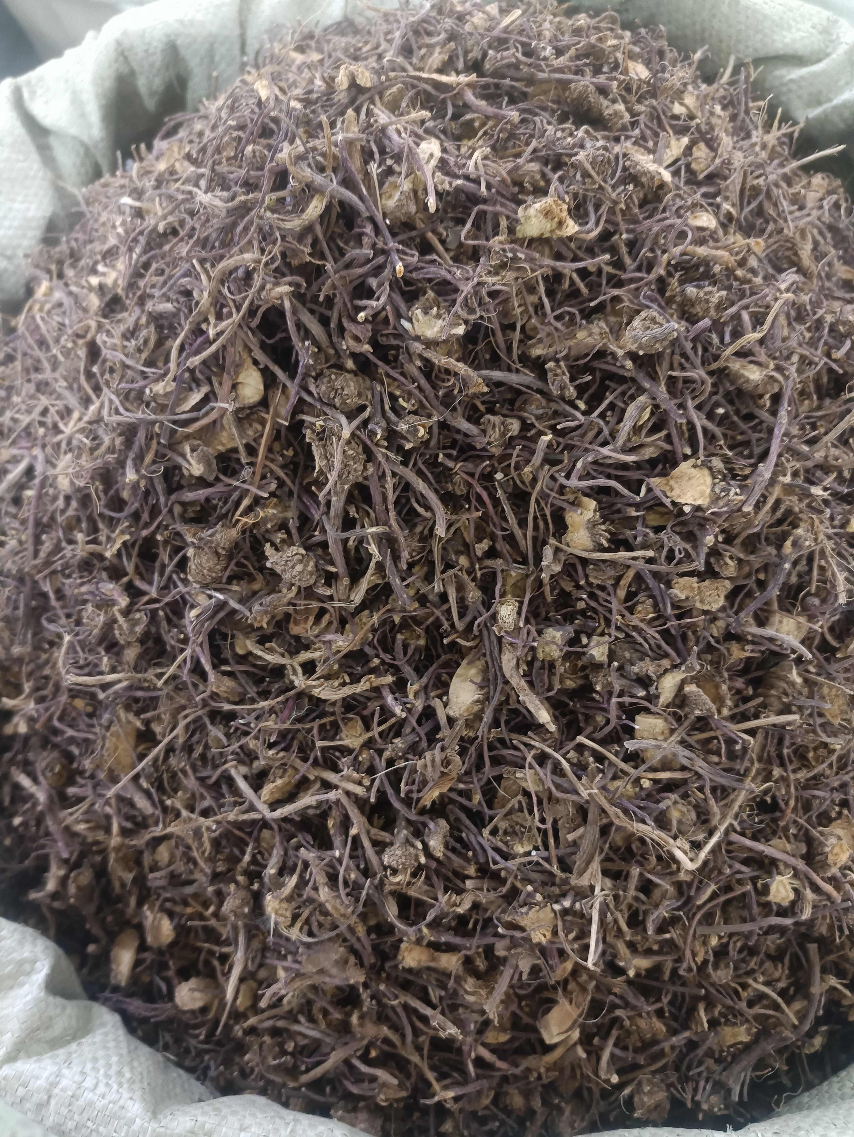 紫苑紫菀全规格道地无硫正品紫菀