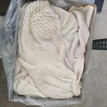 阳信县精品牛肚