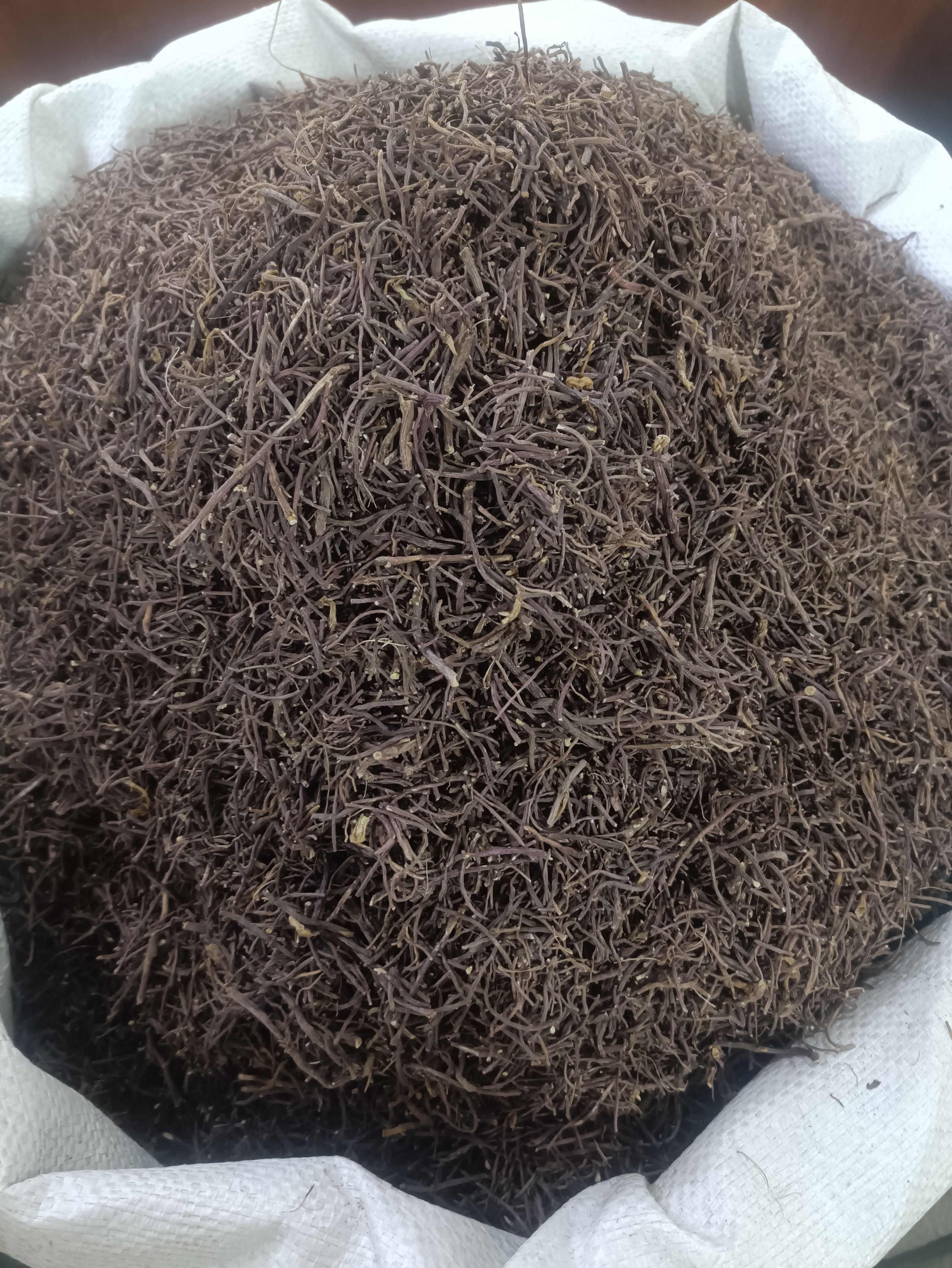 紫苑紫菀全规格道地无硫正品紫菀