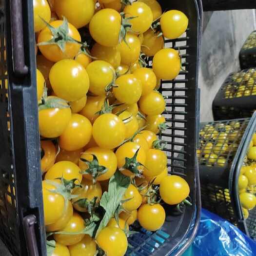 蔬菜批发