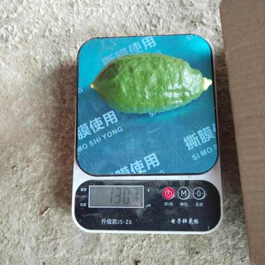 罗定市广东香水柠檬