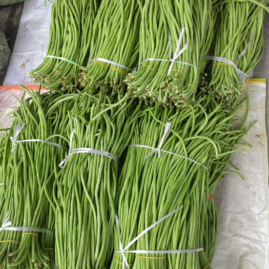 三都县缸豆