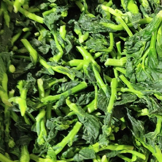 东台市板冻小菜苔   苏北小菜心