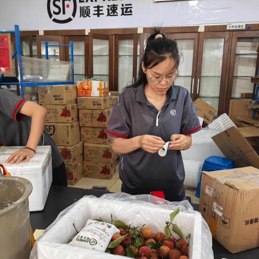 遂溪县广东省内顺丰包邮14斤精选大果100元一霜