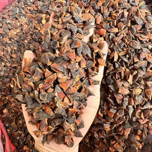 南宁色选干枝八角片