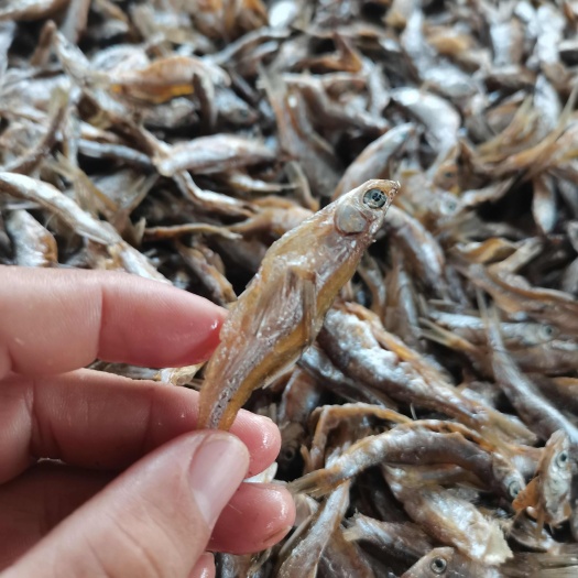 乐东县油炸白肖/鱼干/干货/餐条/开肚/白条/水库鱼/包邮