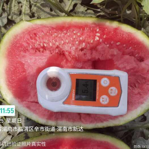 大荔县陕西精品西瓜