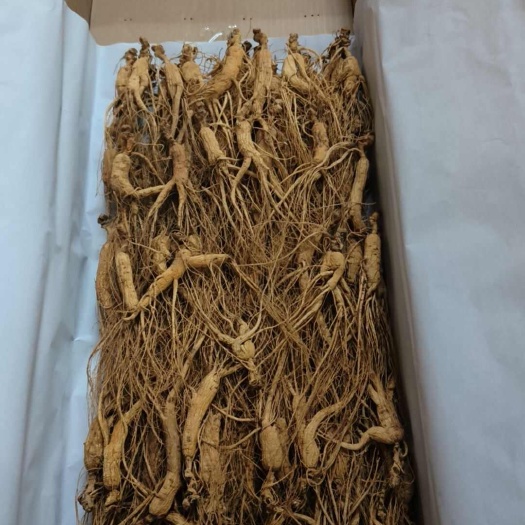 干林下参， 非常实惠  货不多，要的速度