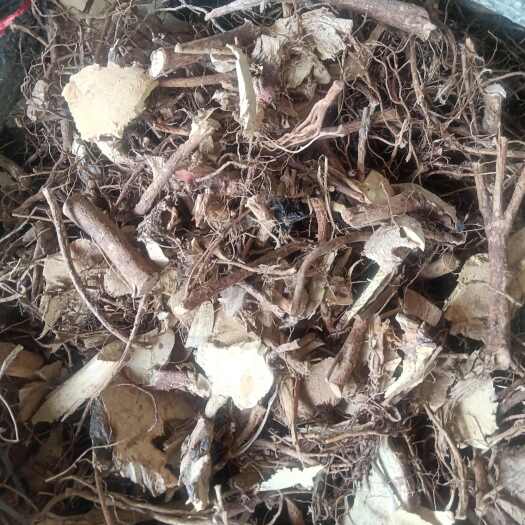 定南县五指毛桃