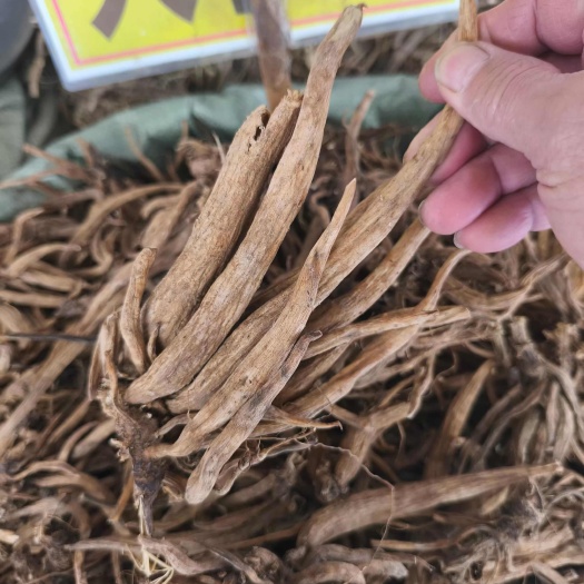 玉林大小计中药材