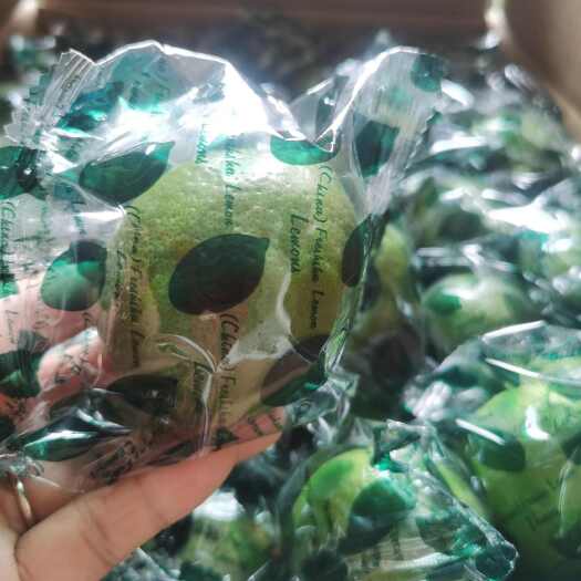 尤力克柠檬 青柠檬新鲜安岳优力克青柠檬皮薄多汁酸爽泡水产地直
