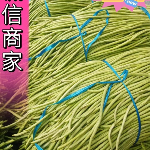 柳州万亩现摘现发精品豆角发全国！一手货源质量保证不满意包退！