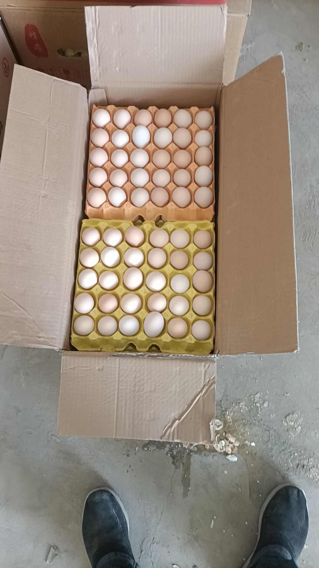 鲜鸡蛋