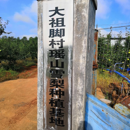 江华县千亩瑶山雪梨直供基地