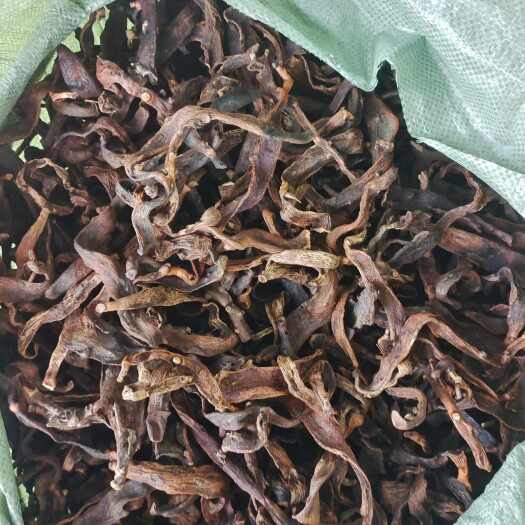 广西大叶骨碎补中药材干货去毛猴毛姜巴爬岩姜接骨碎