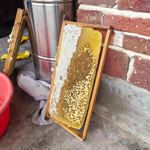 大余县江西赣南纯正乌桕蜜 24个月长效保鲜 天然营养滋补品