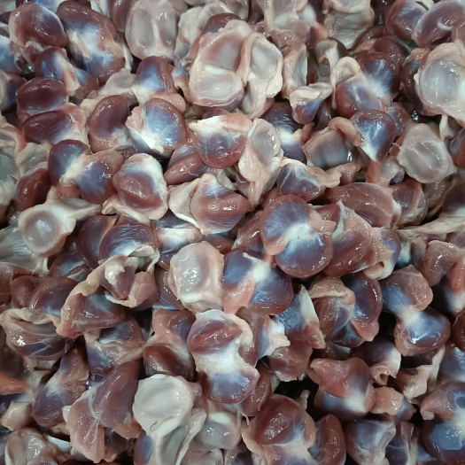 惠东县广东惠州新鲜鸽胗（鸽肾） 高品质禽畜肉类食材 源头屠宰场直供