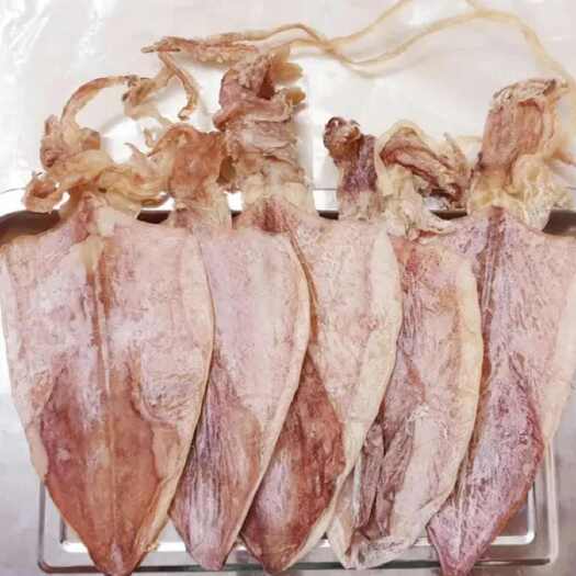 广州优质鱿鱼干