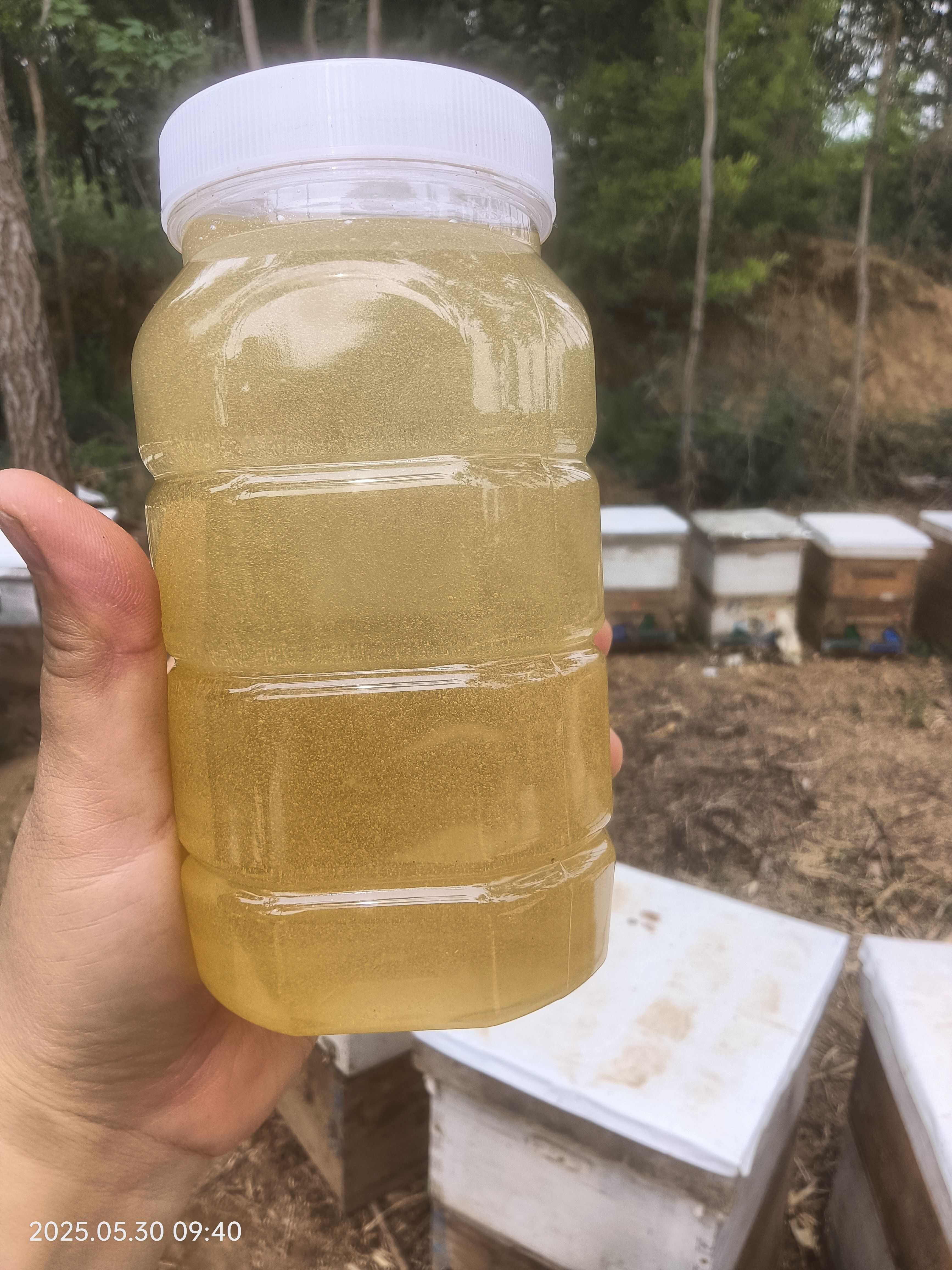 太行山脉赞皇嶂石岩蜂蜜