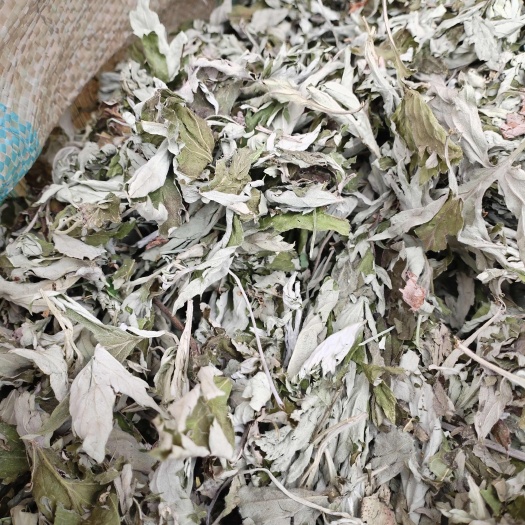 艾叶艾草南阳艾叶端午节头茬晒干艾叶手选无杂高品质
