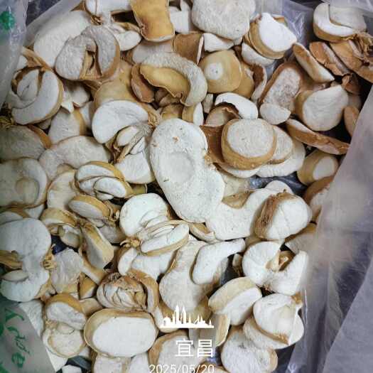 秭归县贝母