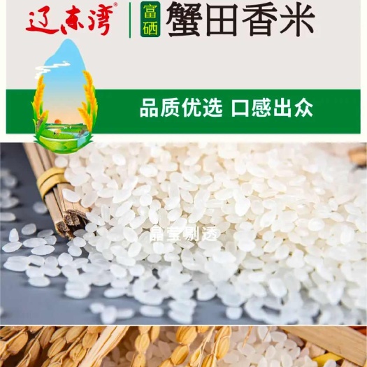 盘锦辽东湾盘锦富硒蟹田香米软糯香甜5kg