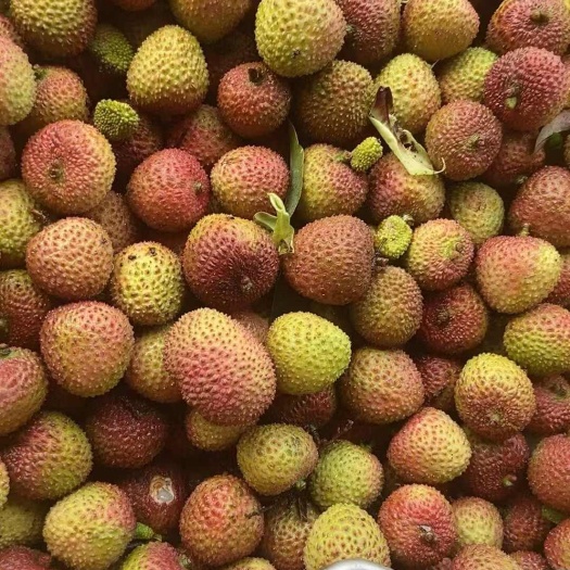 廉江市广东廉江妃子笑，桂味。