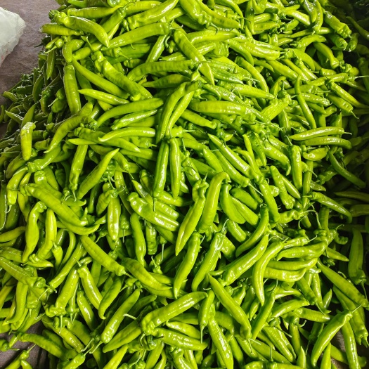 青州市新鲜青尖椒