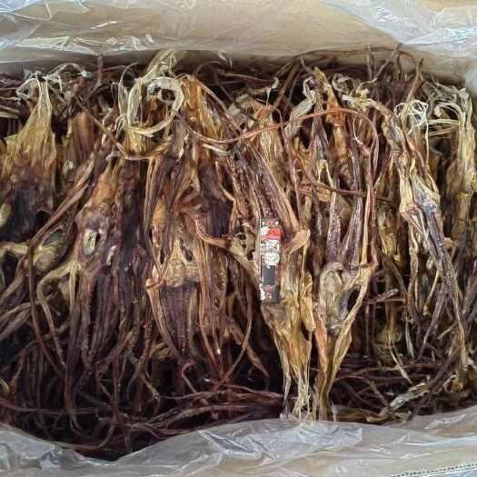 贵阳秘鲁鱿鱼头，淡干5001000规格下来的手拉头，水发专用。。