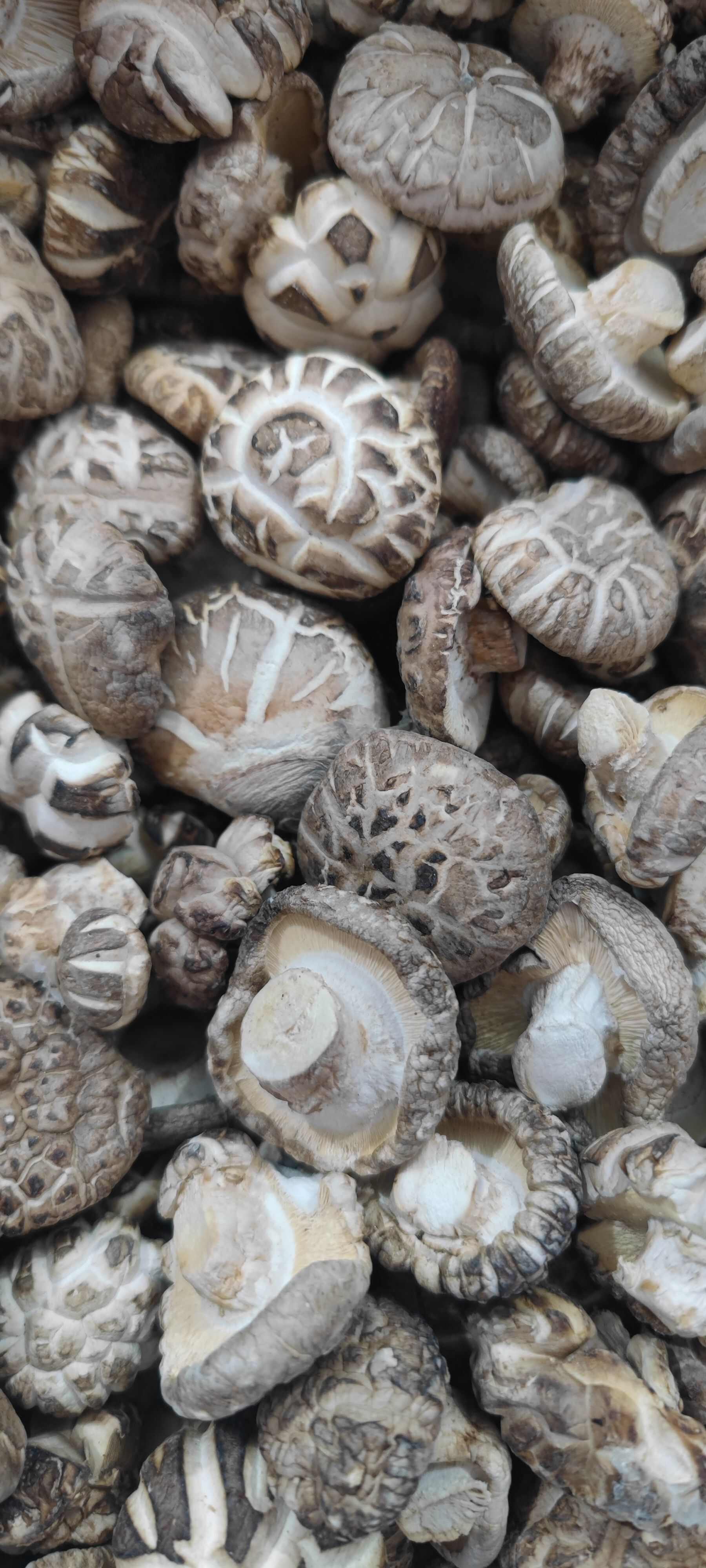 河南精選花菇干貨批發(fā)商超展銷會趕集干香菇批發(fā)一件代發(fā)冬菇白花