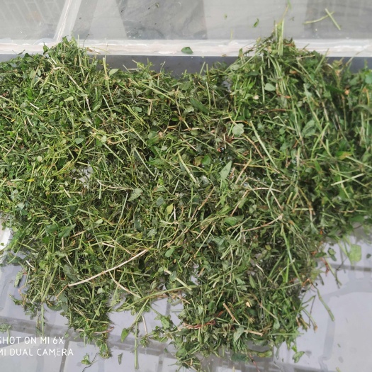 平陆县一手货中条山茜草