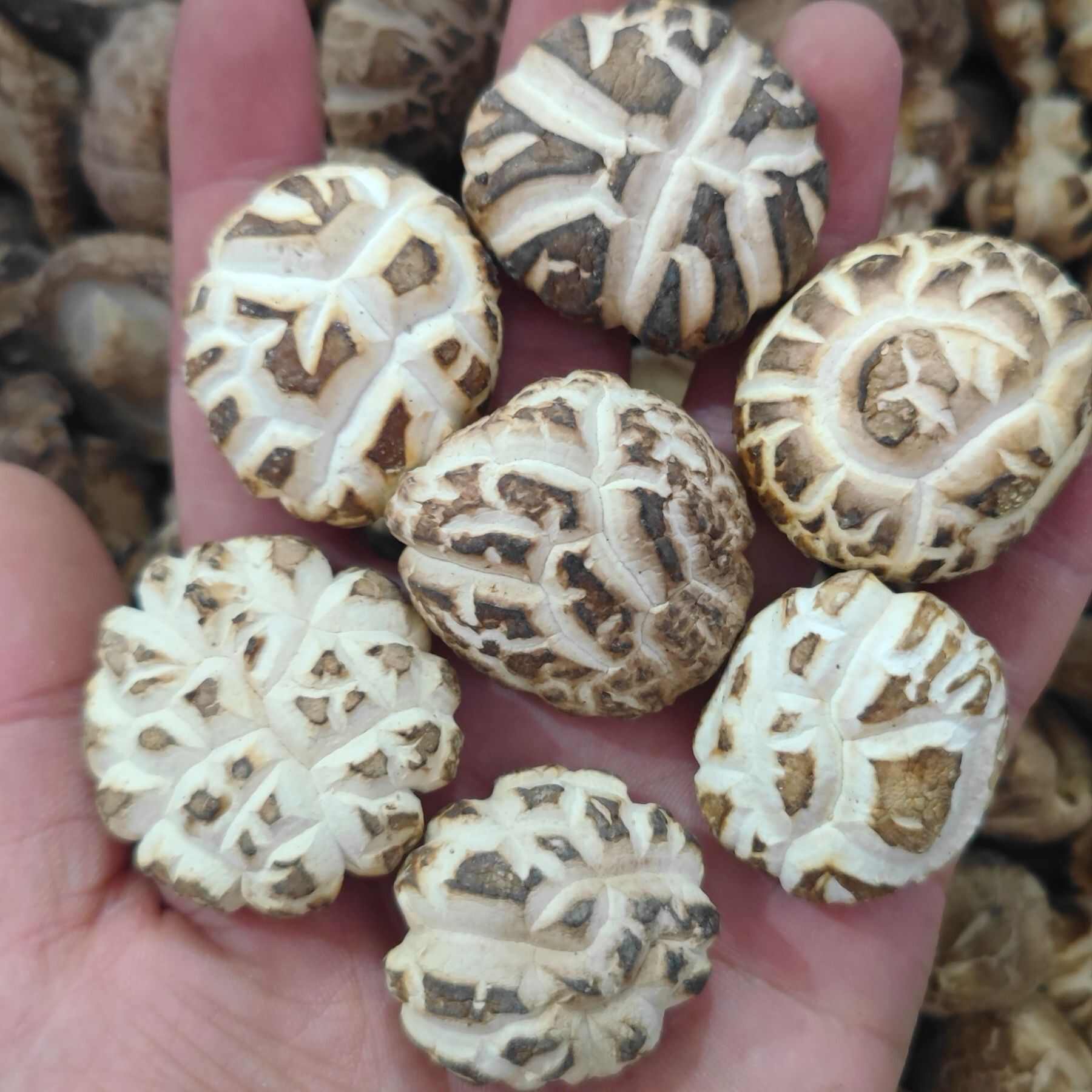 河南精选花菇干货批发商超展销会赶集干香菇批发一件代发冬菇白花