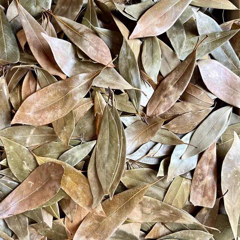 四川广元特产，老鹰茶，老阴茶，重庆火锅专用，商用批发，老英茶