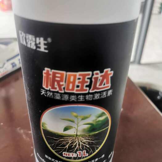 三台县根旺达：爆发式生根，三天生新根，七天多一倍。