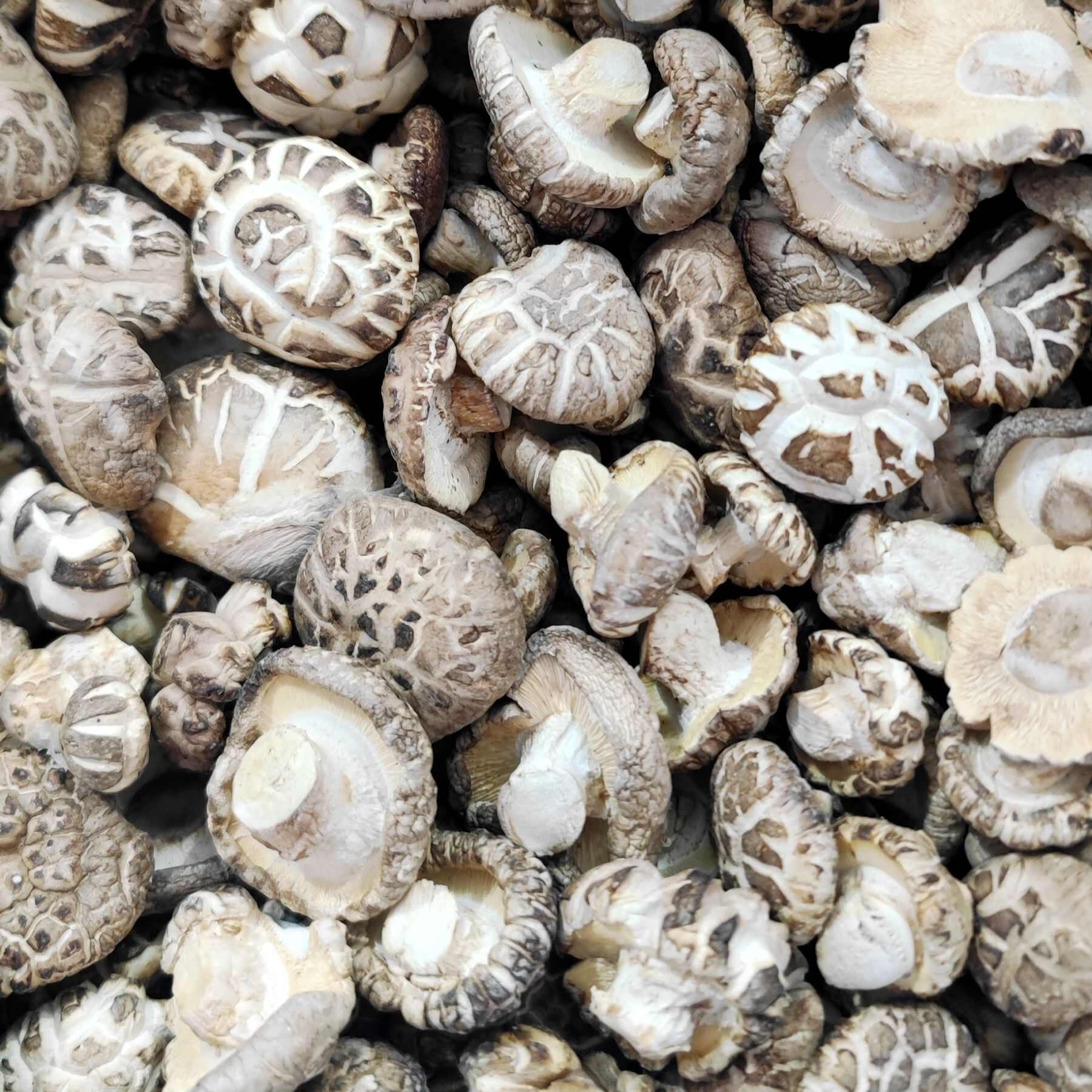 河南精选花菇干货批发商超展销会赶集干香菇批发一件代发冬菇白花