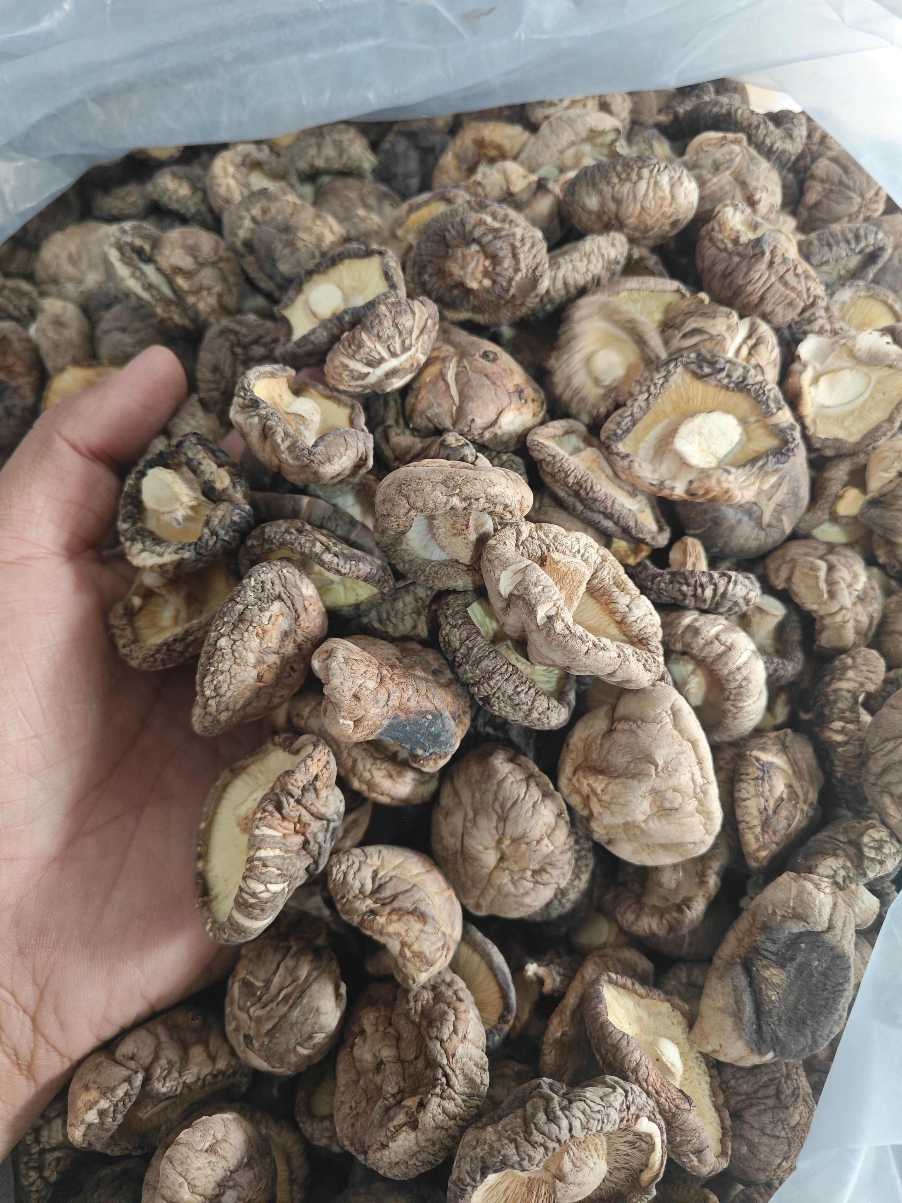 精品花菇干香菇产地直发 干度好 冬菇新菇肉厚无根金钱菇可代发