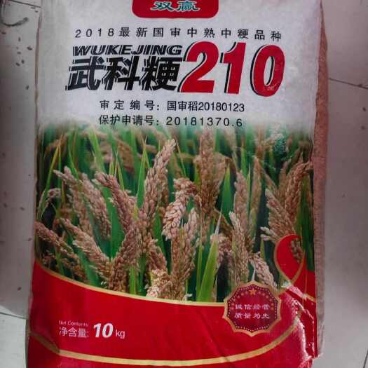 国审武科梗210水稻种子 全生育期150天左右