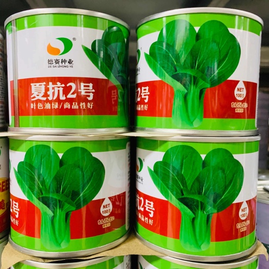 宿迁夏抗2号青梗菜种子 耐热耐雨青梗菜种子