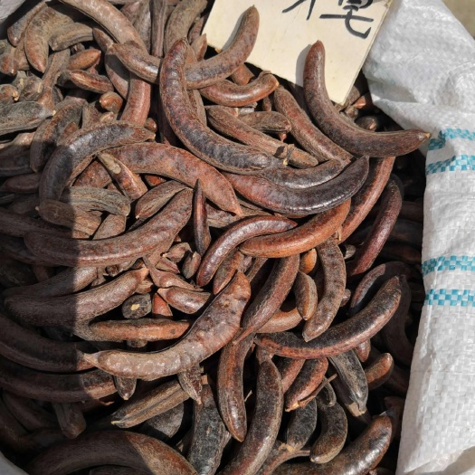 猪牙皂 皂角 干货个子 量大优惠