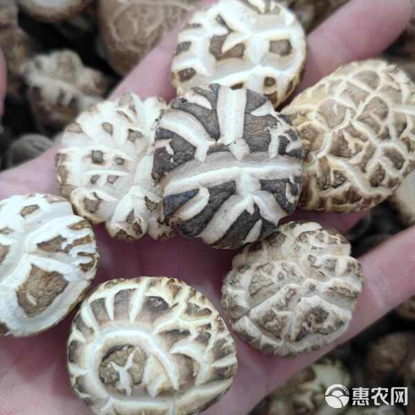 河南精选花菇干货批发商超展销会赶集干香菇批发一件代发冬菇白花