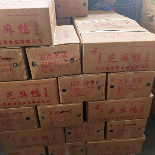 成都工厂直发