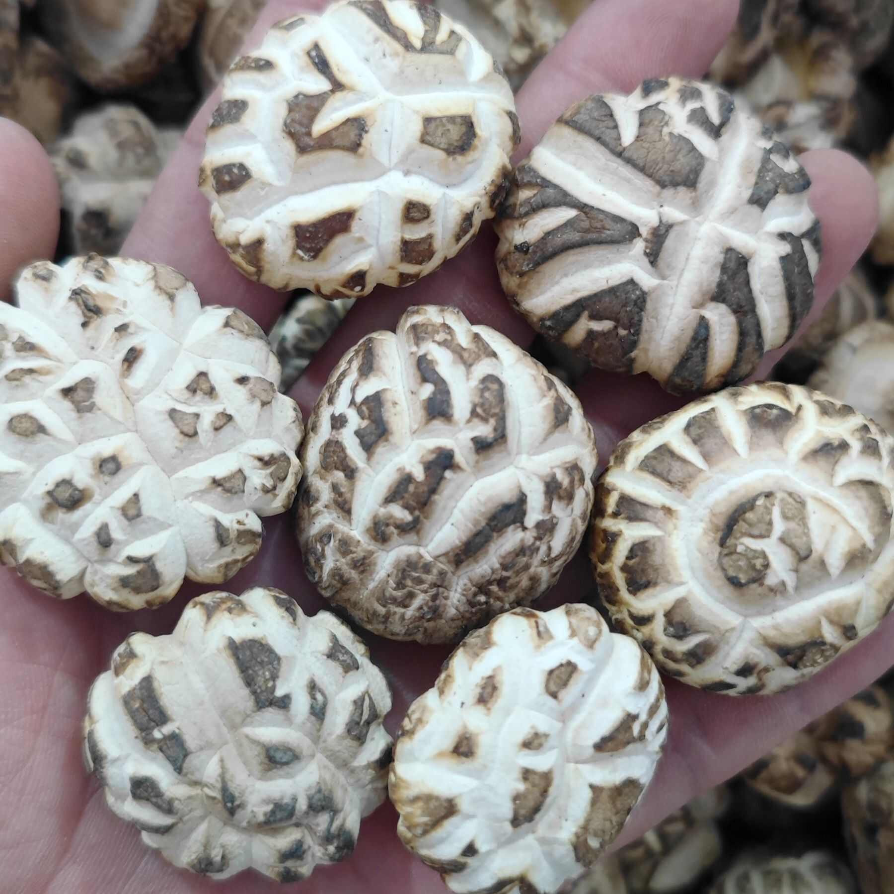 河南精選花菇干貨批發(fā)商超展銷會趕集干香菇批發(fā)一件代發(fā)冬菇白花