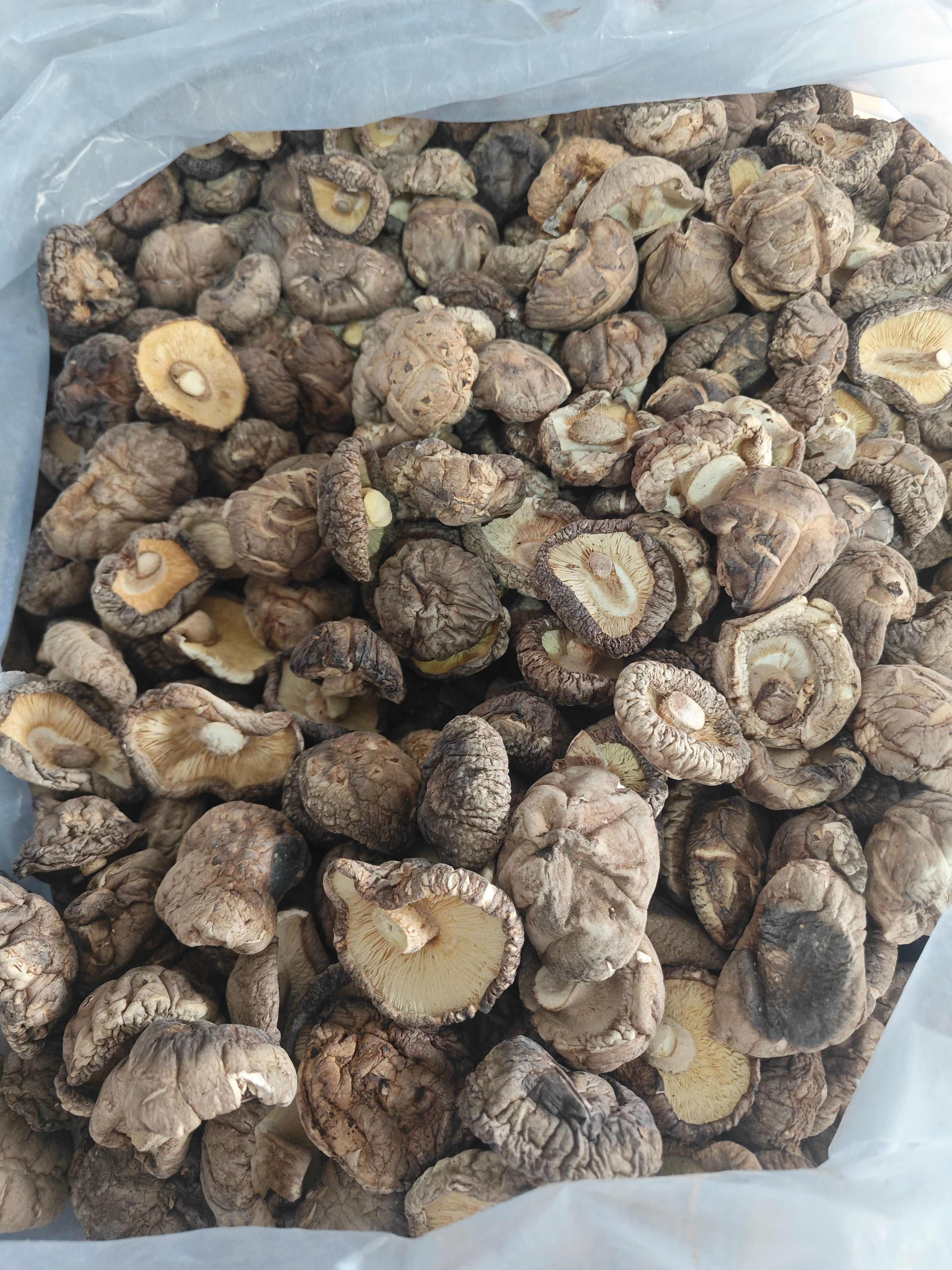 精品花菇干香菇产地直发 干度好 冬菇新菇肉厚无根金钱菇可代发