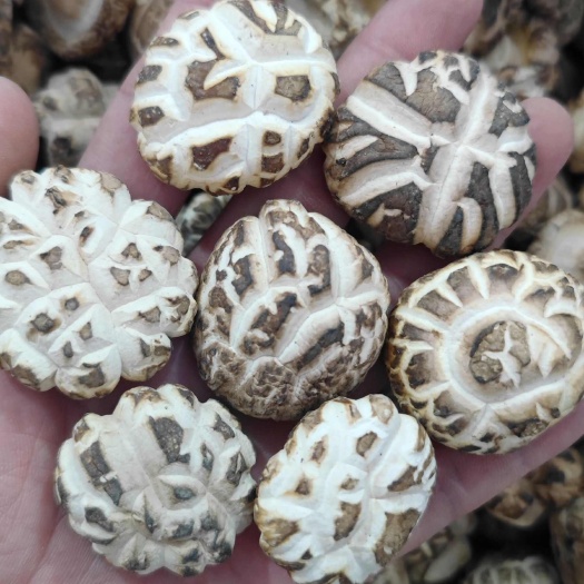 河南精选花菇干货批发商超展销会赶集干香菇批发一件代发冬菇白花