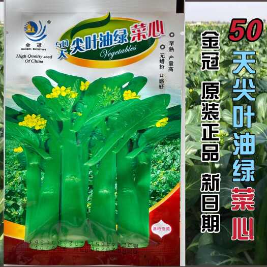 赣科翠绿无渣尖叶甜菜心种子秋冬春播蔬菜四季广东尖叶甜菜心种籽