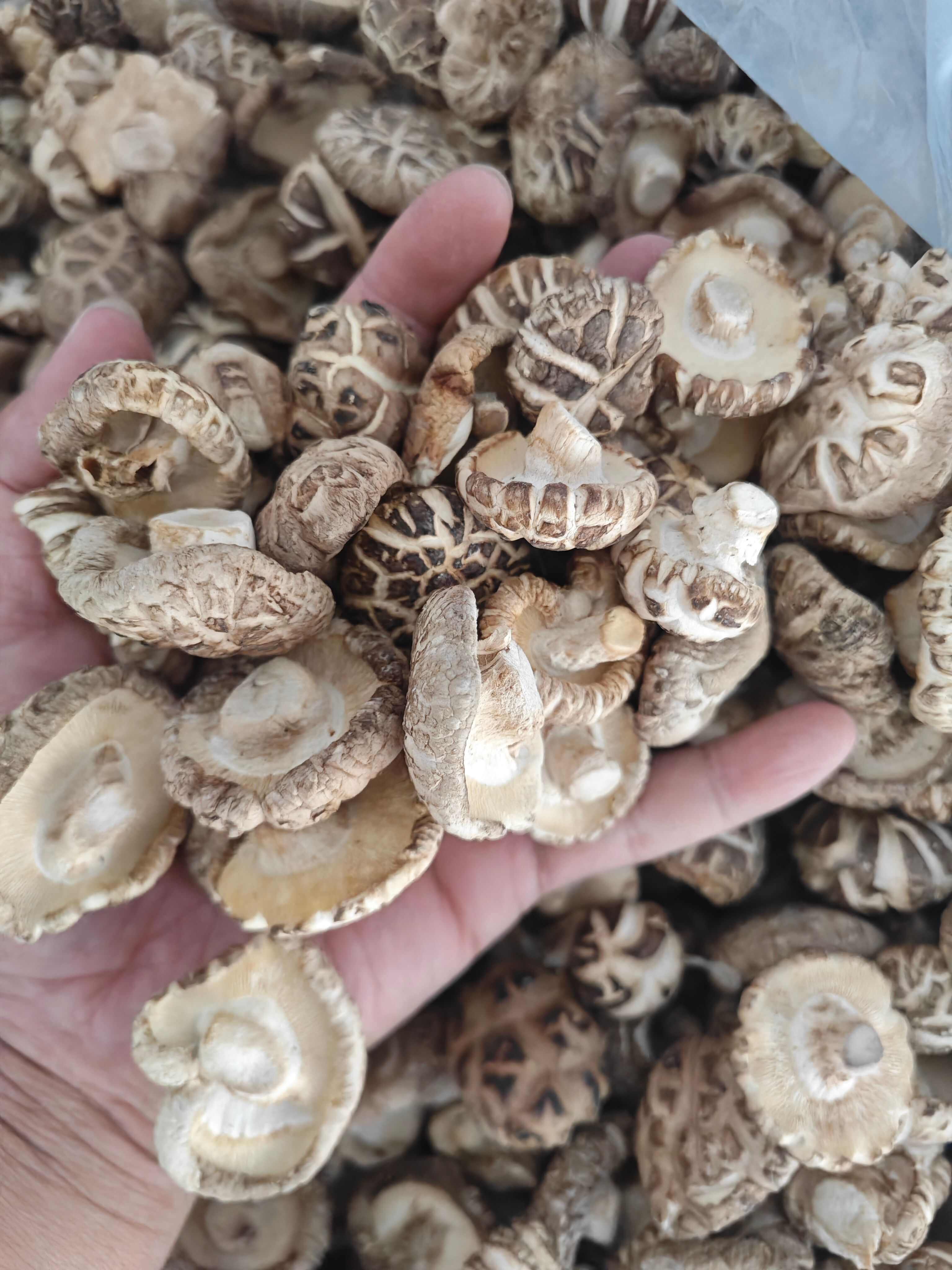 精品花菇干货 肉质肥厚干净好看 干香菇新货大小均匀小香菇冬菇