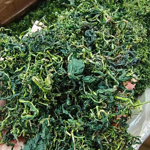 安国市蒲公英 水洗干货 泡水级别 药食同源